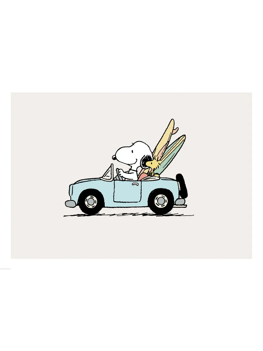 Snoopy Driving