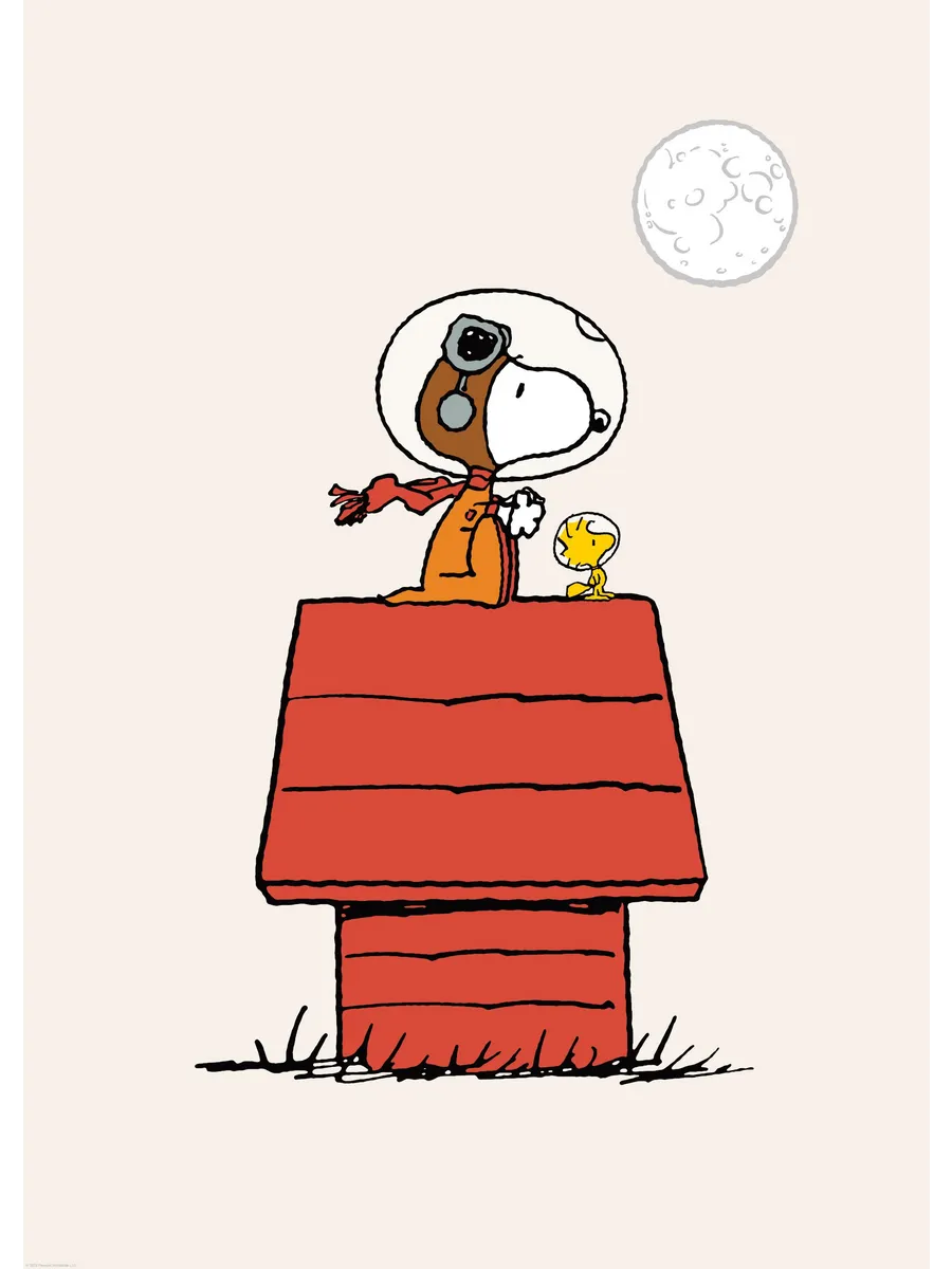 Snoopy Playing Astronaut