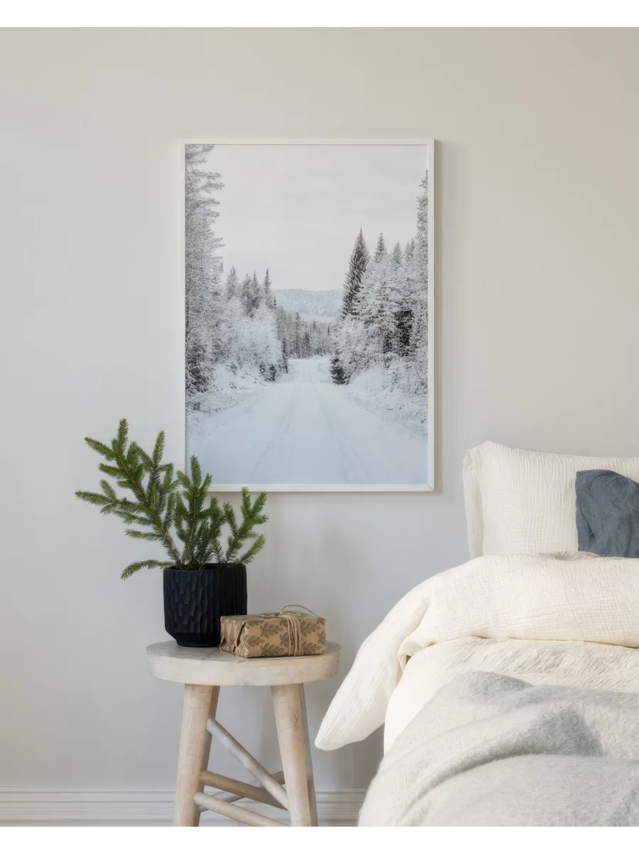 Snowy Forest Road