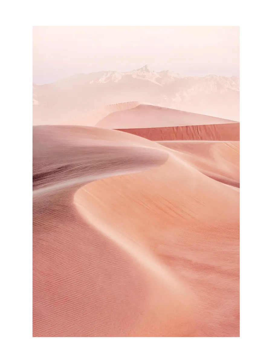 Soft Dunes