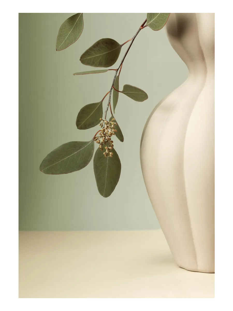 Soft Eucalyptus