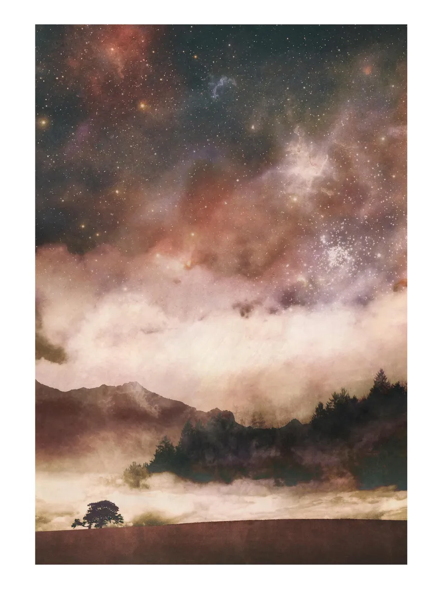 Spacefrog Designs Stellar