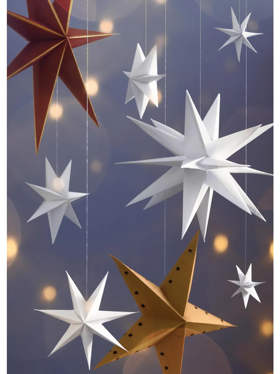 Stars Aligned