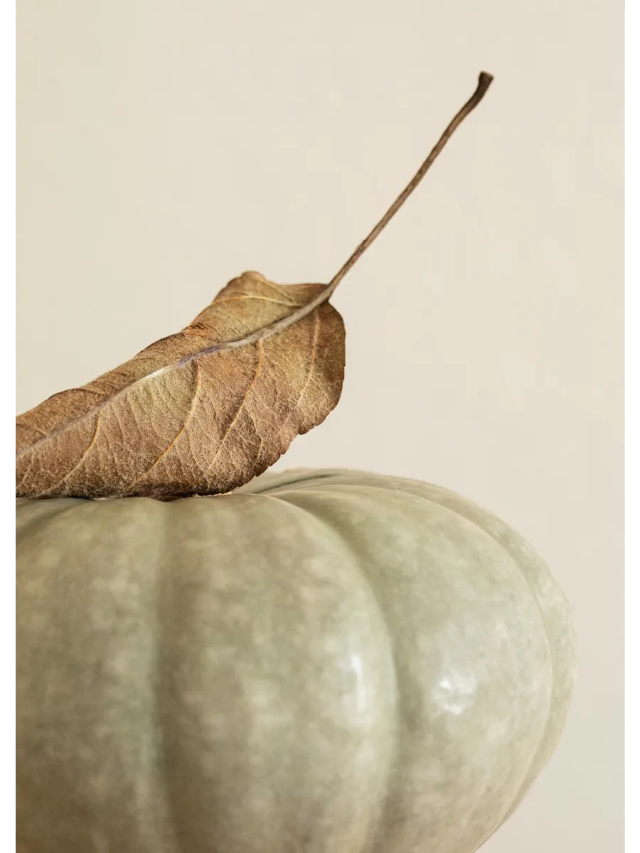 Still Life Autumn