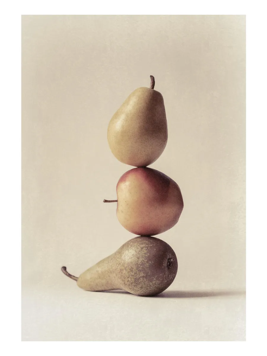 Still Life Pear No1