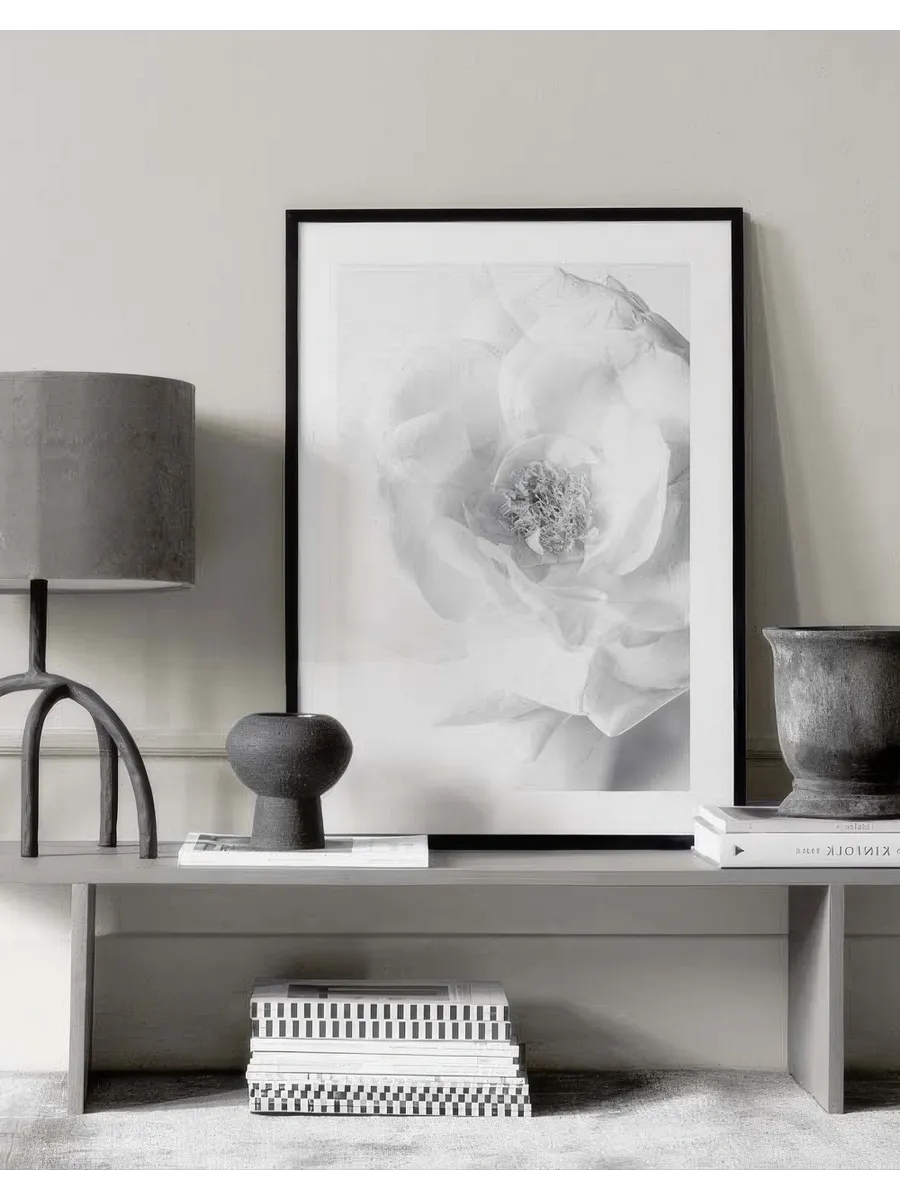Still Life Rose No2