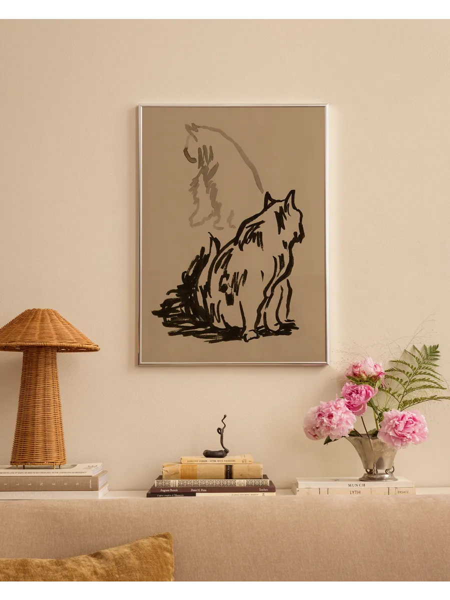 Study of Cat