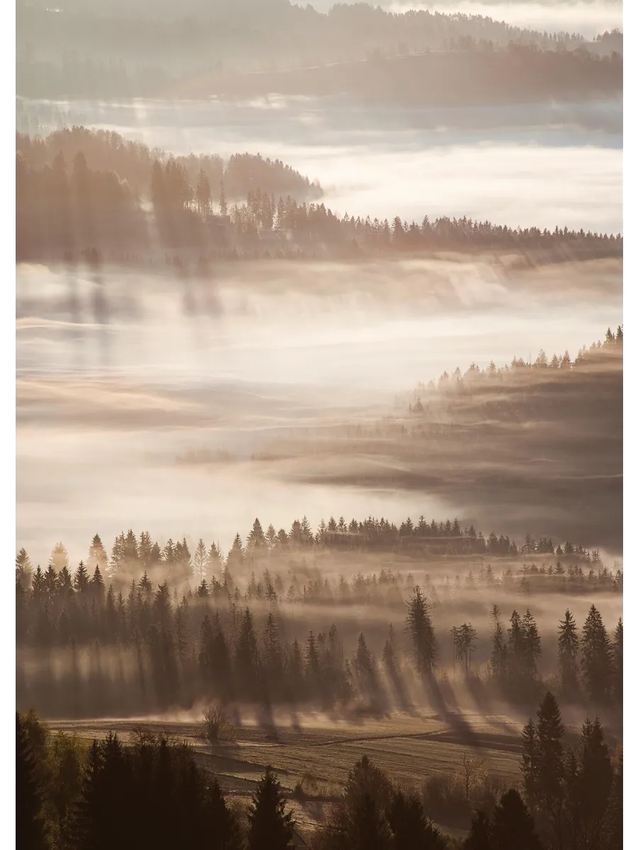 Sun Rays Through Mist