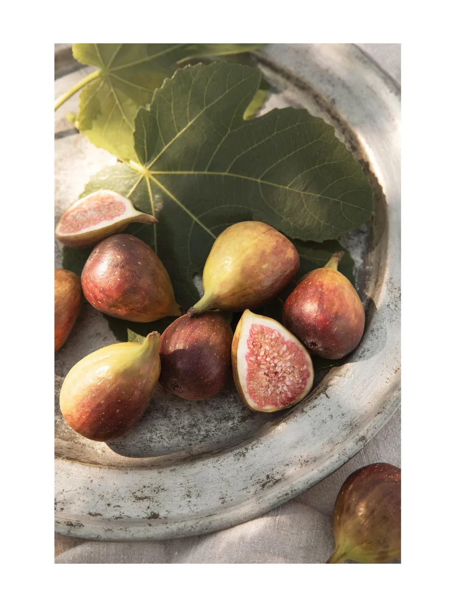 Sun Ripened Figs