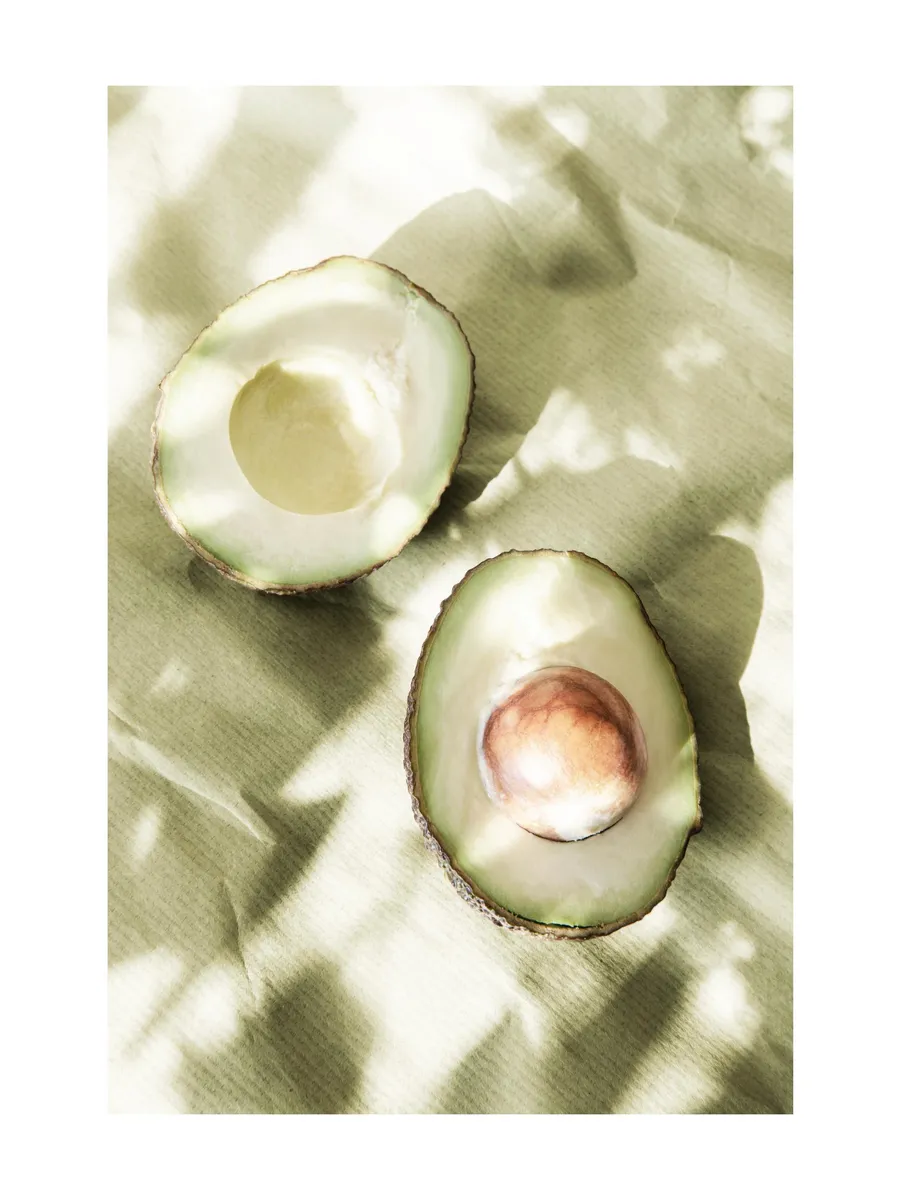 Sunlit Avocados