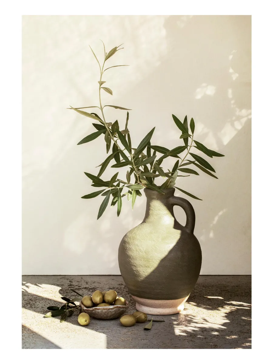 Sunlit Olives