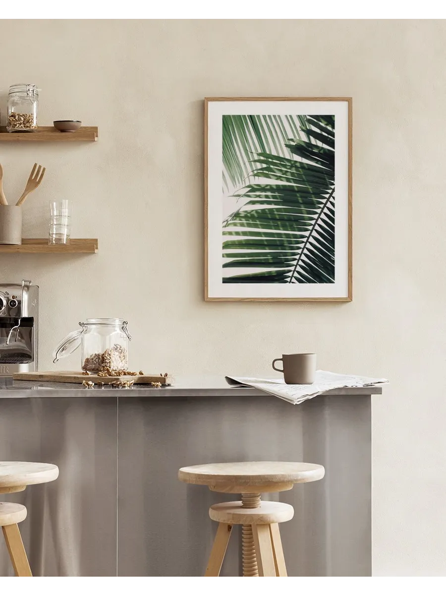 Sunray Palm