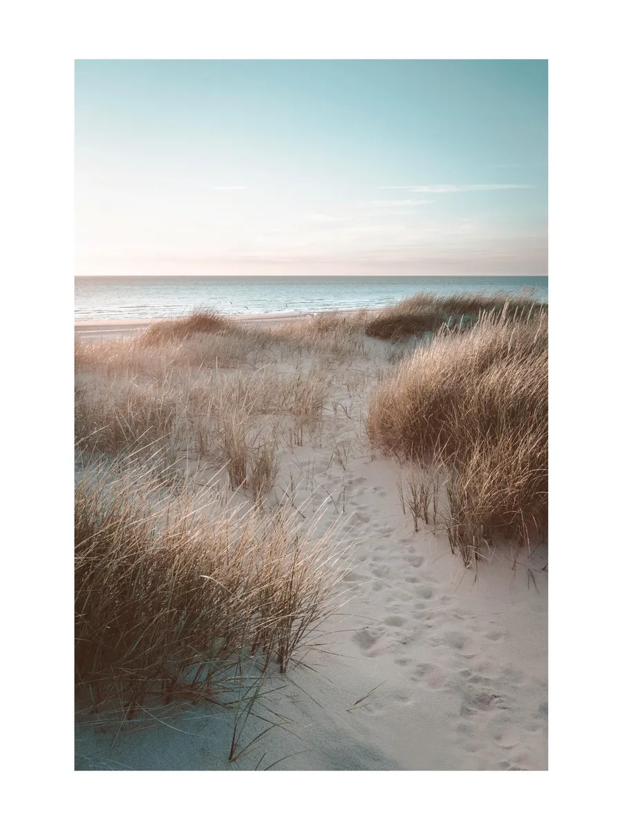 Sunset Beach Dune