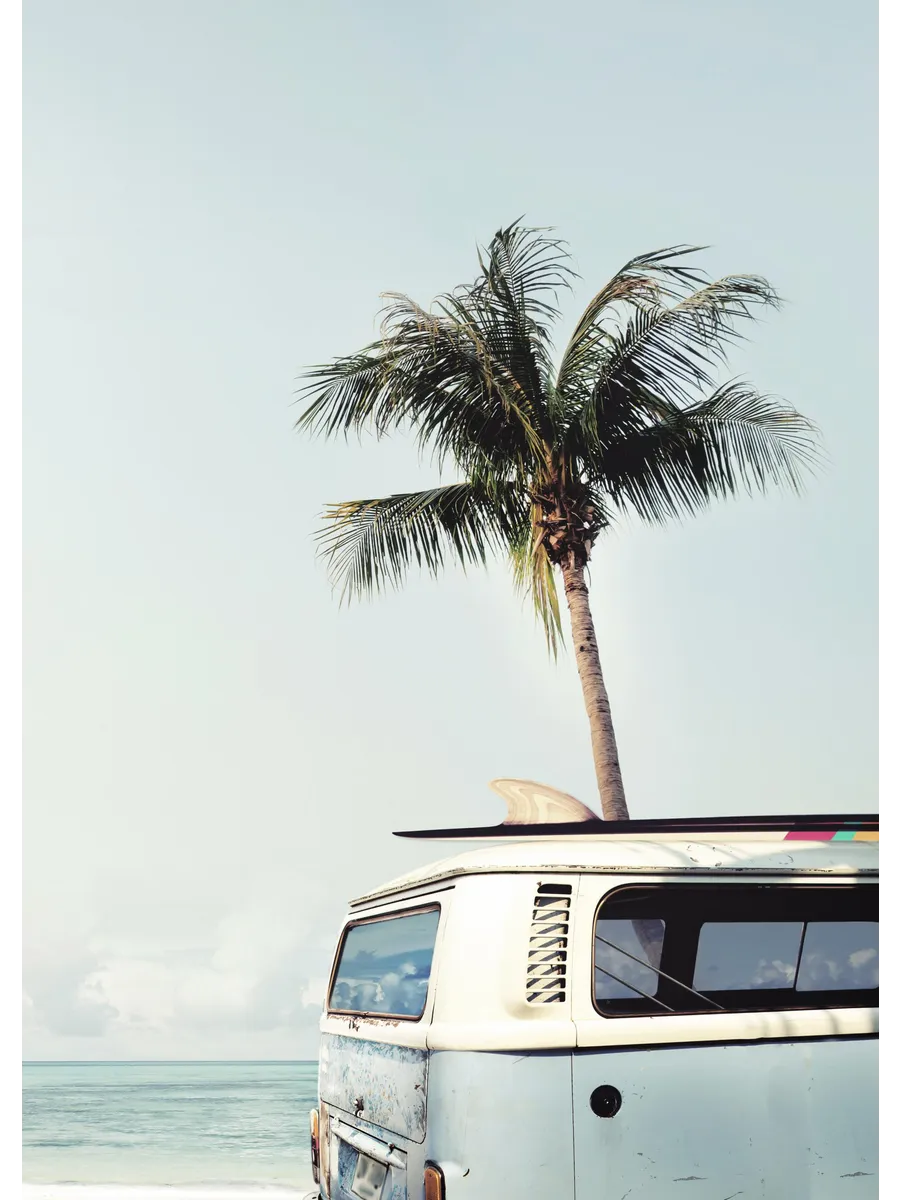 Surfers van
