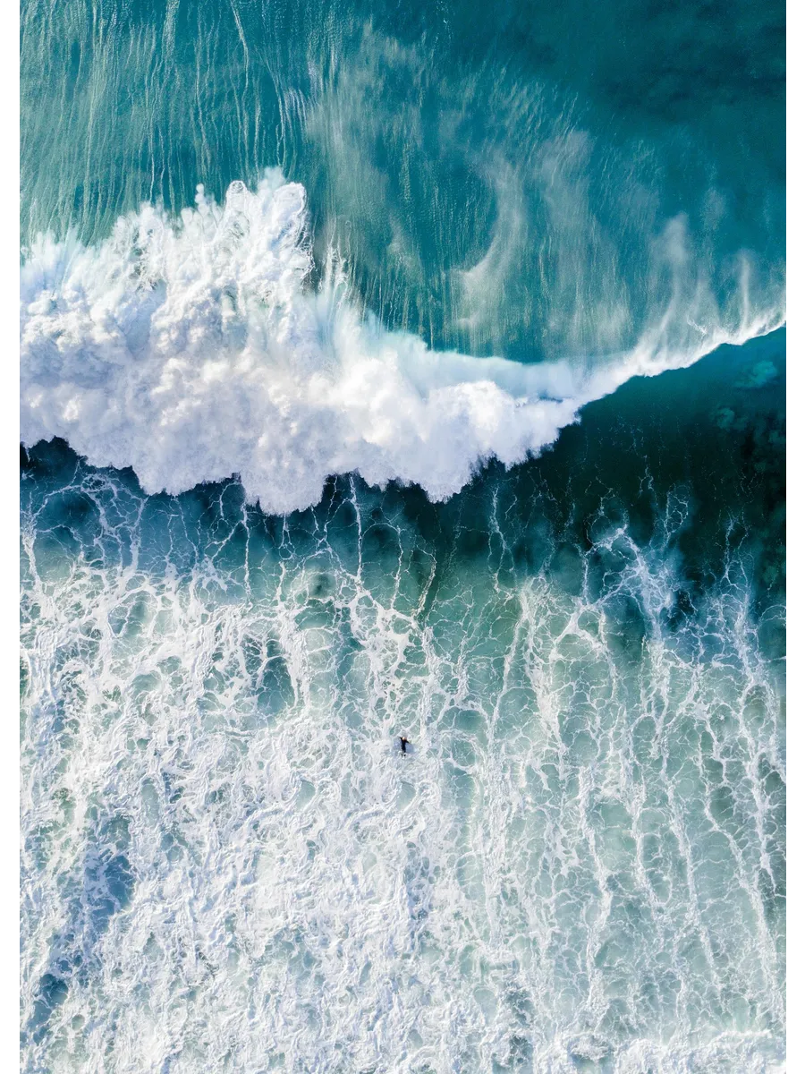 Surfers Wave