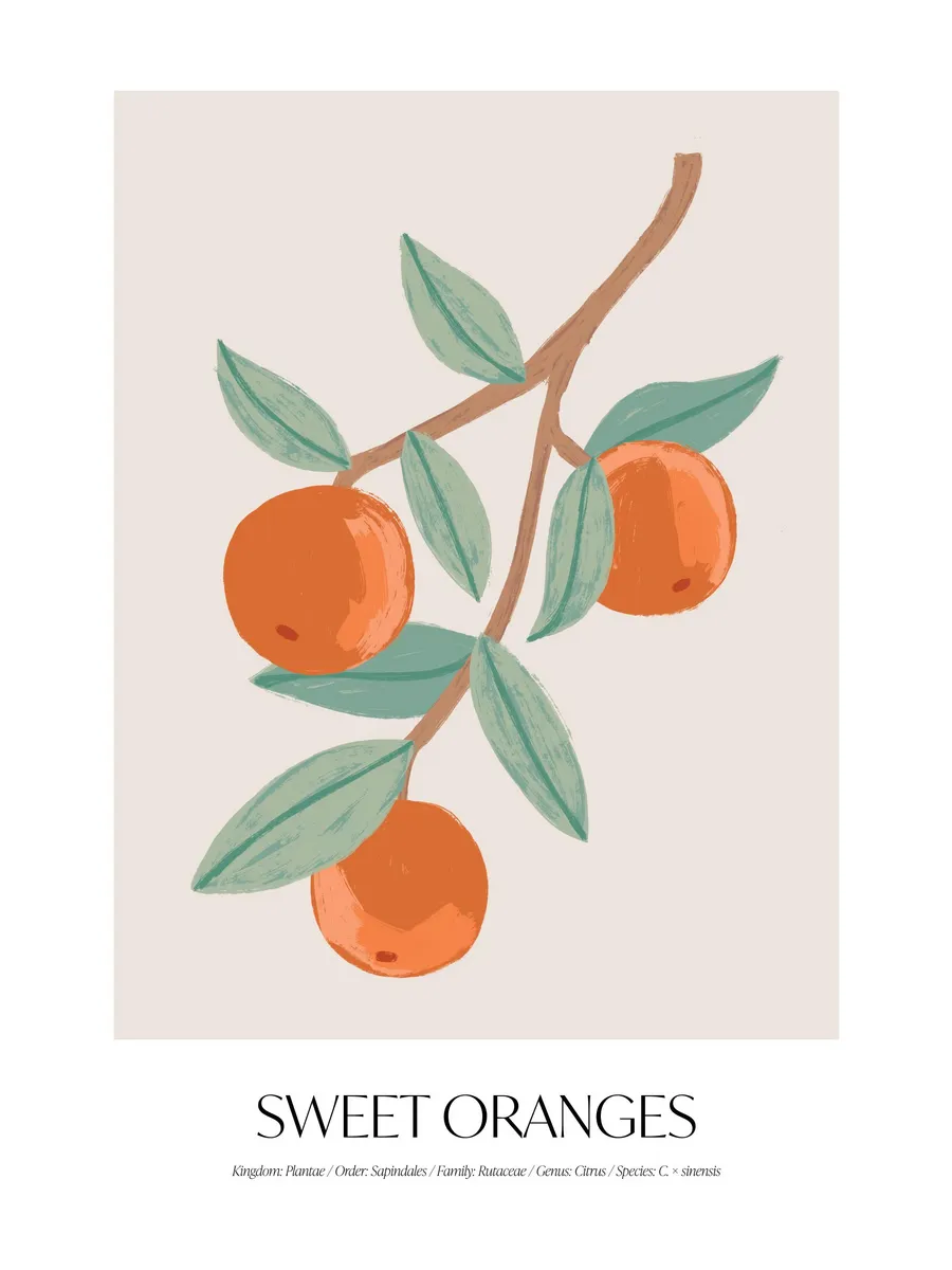 Sweet Oranges