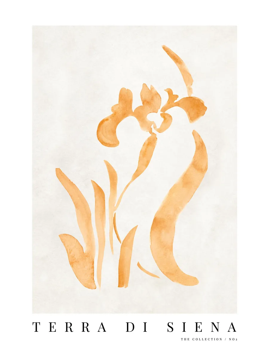 Terra di Siena No2