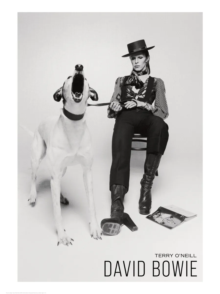 Terry Oneill David Bowie
