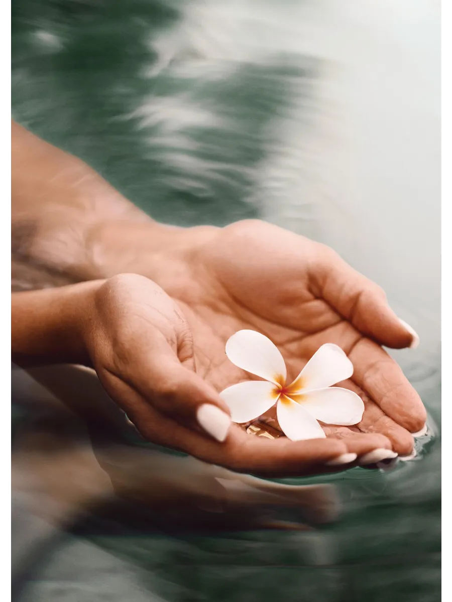 Thai Water Blossom