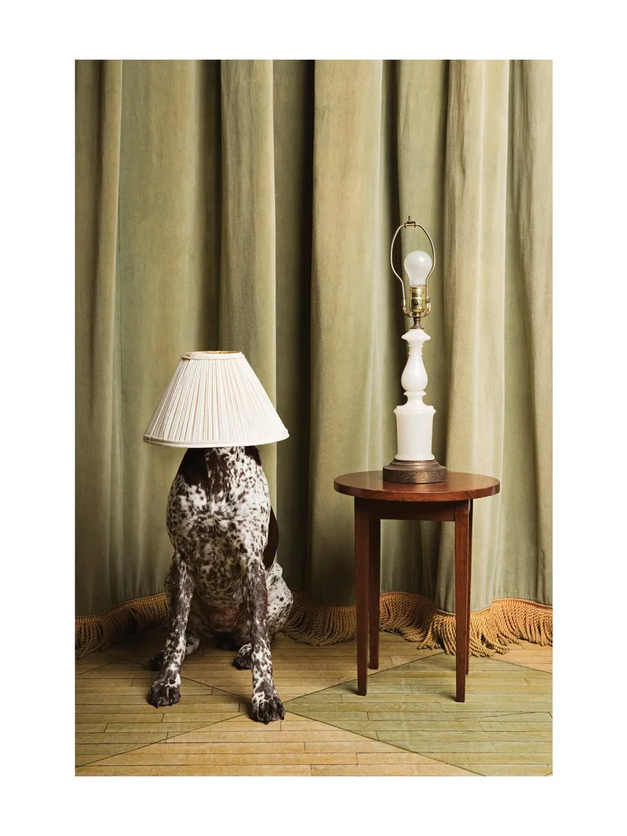 The Dog Lamp