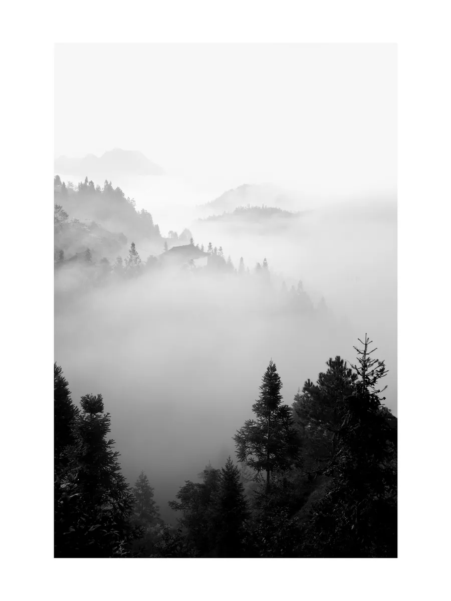 The Morning Mist