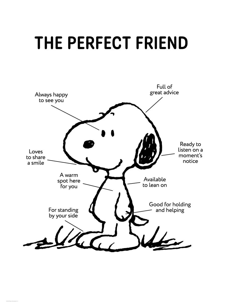 The Perfect Friend