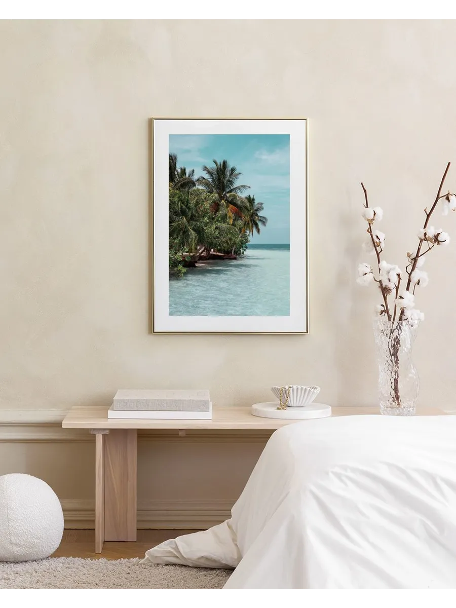 The Tropics
