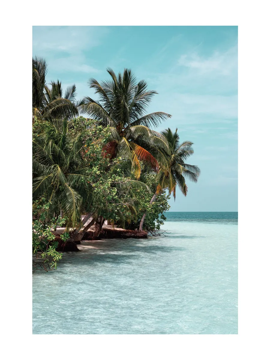 The Tropics