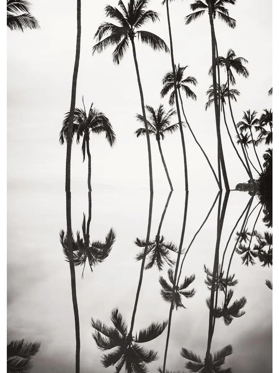 Tranquil Reflection