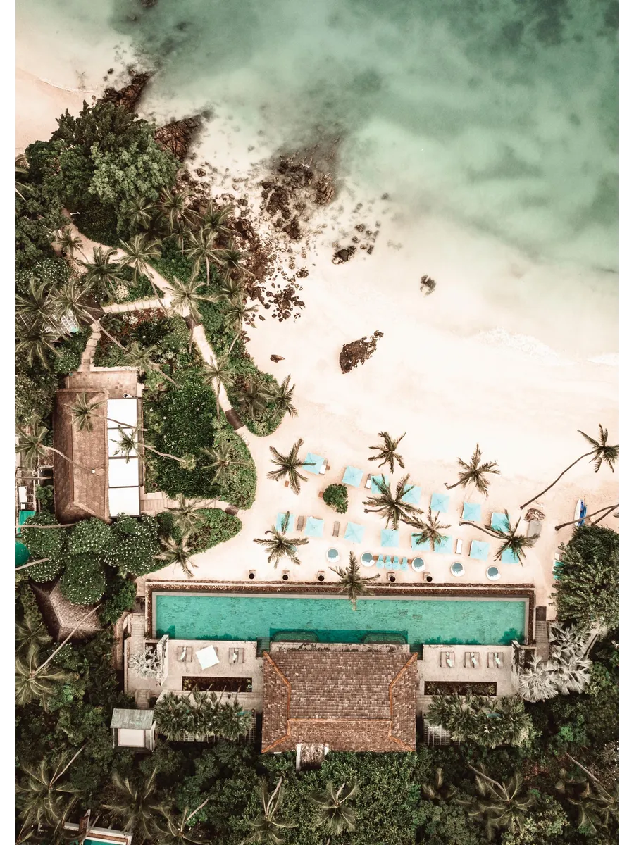 Tropical Escape