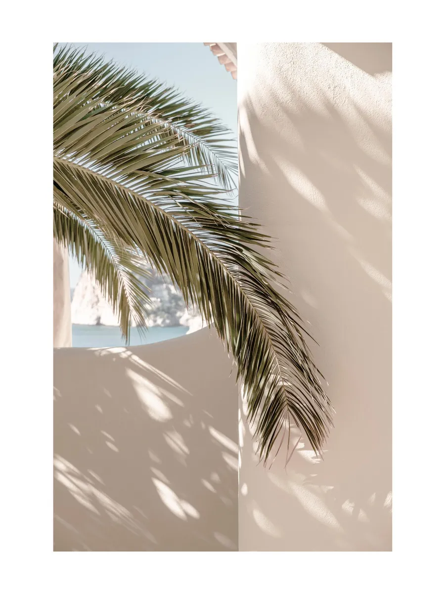 Tropical Shadow 0