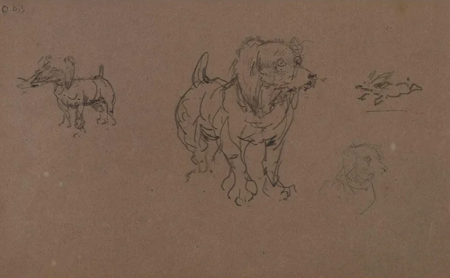 Tudes de Chiens