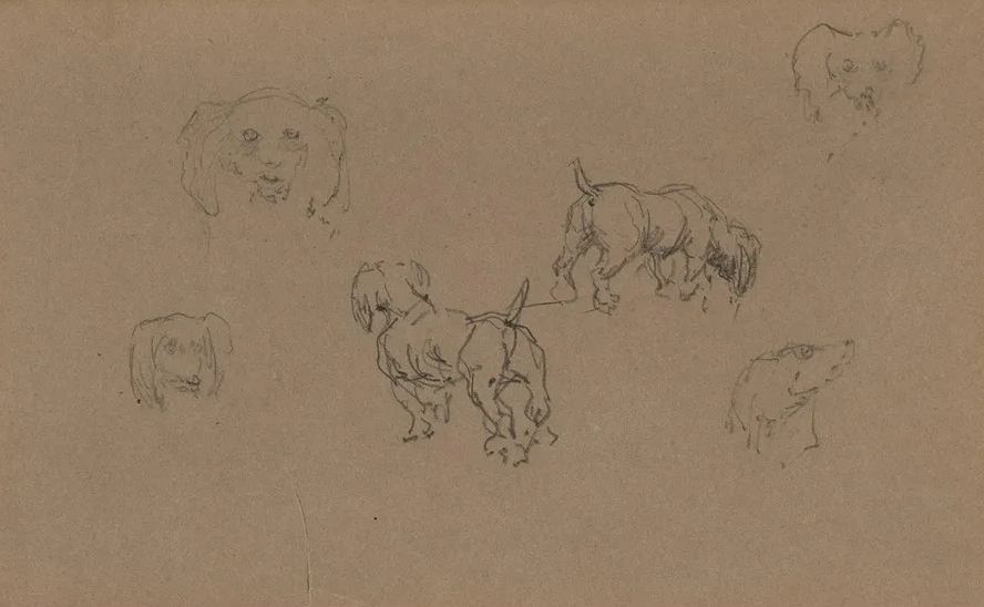 Tudes de Chiens