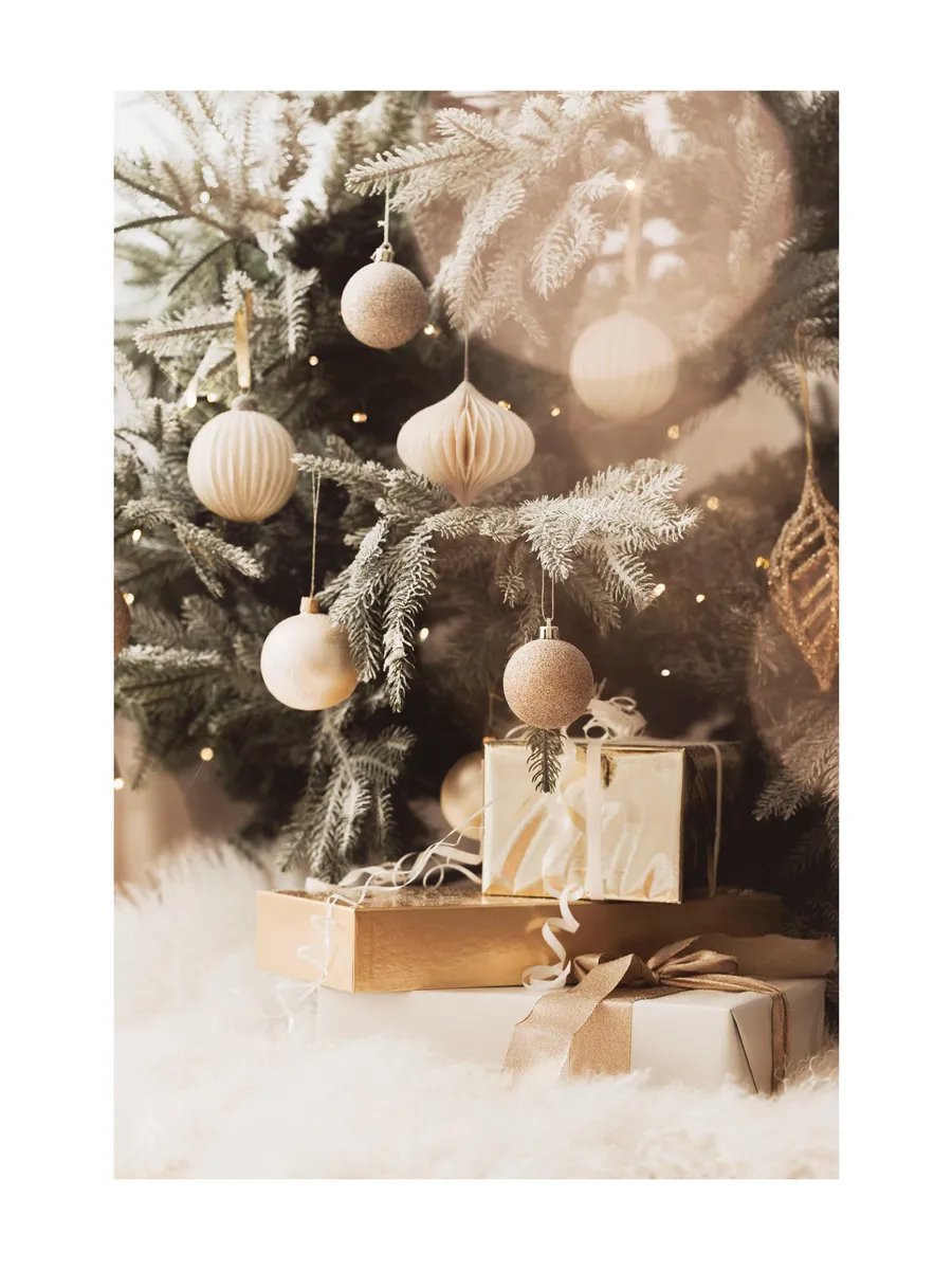 Under the Tree