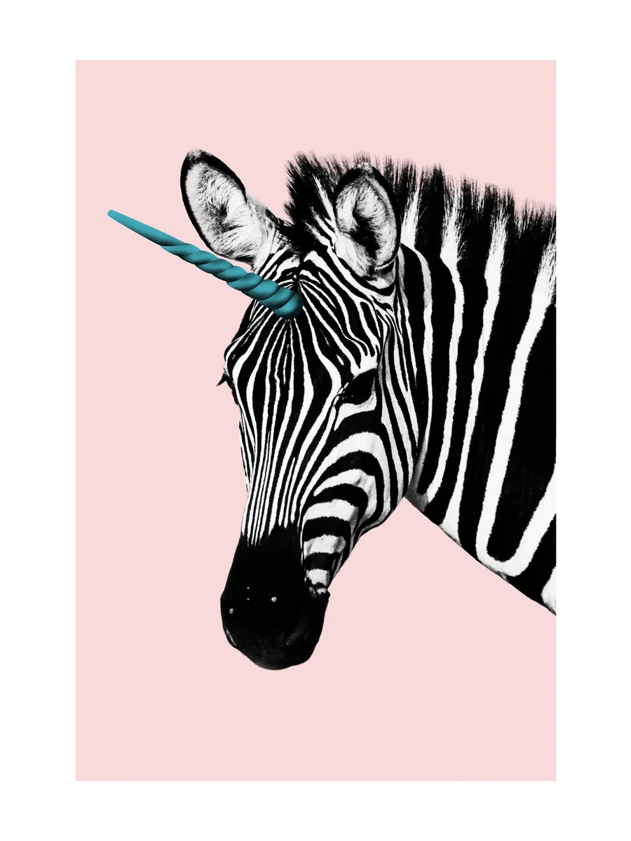 Unicorn Zebra