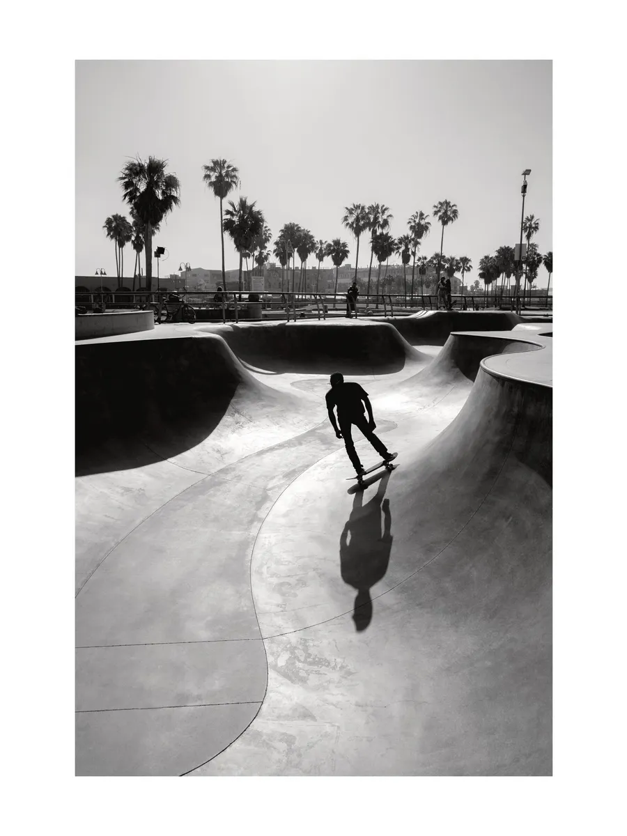 Venice Beach Skate