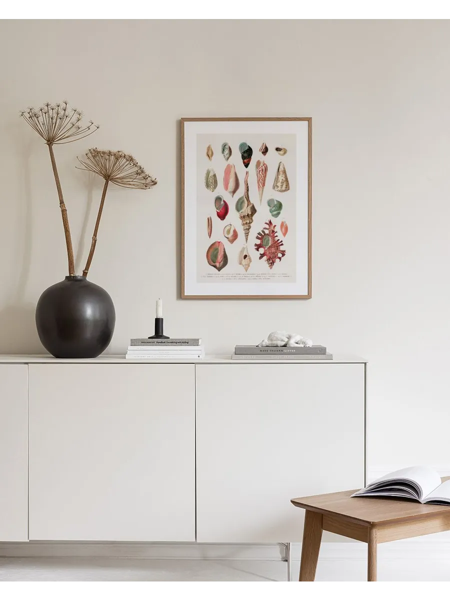 Vintage Seashells No1