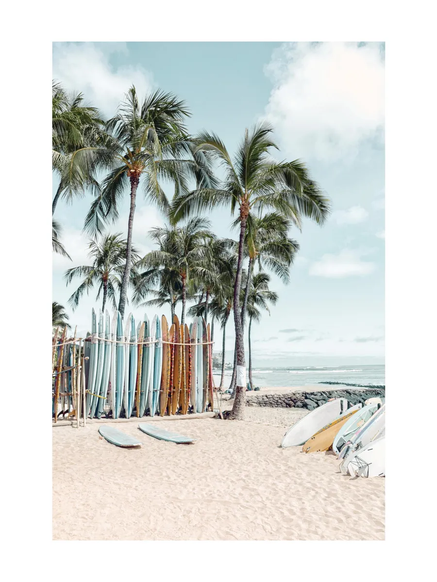 Waikiki Surfing