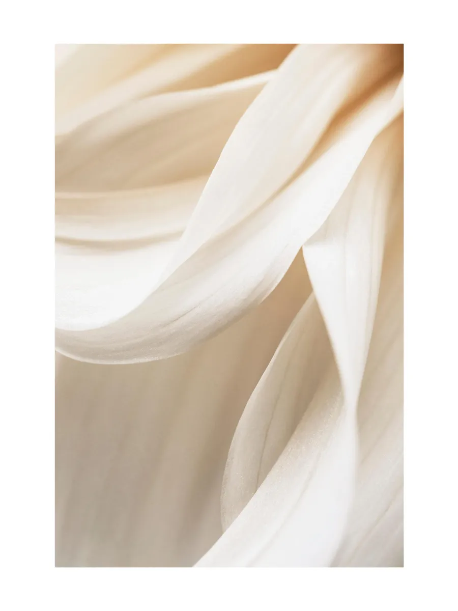 Warm Flower No2