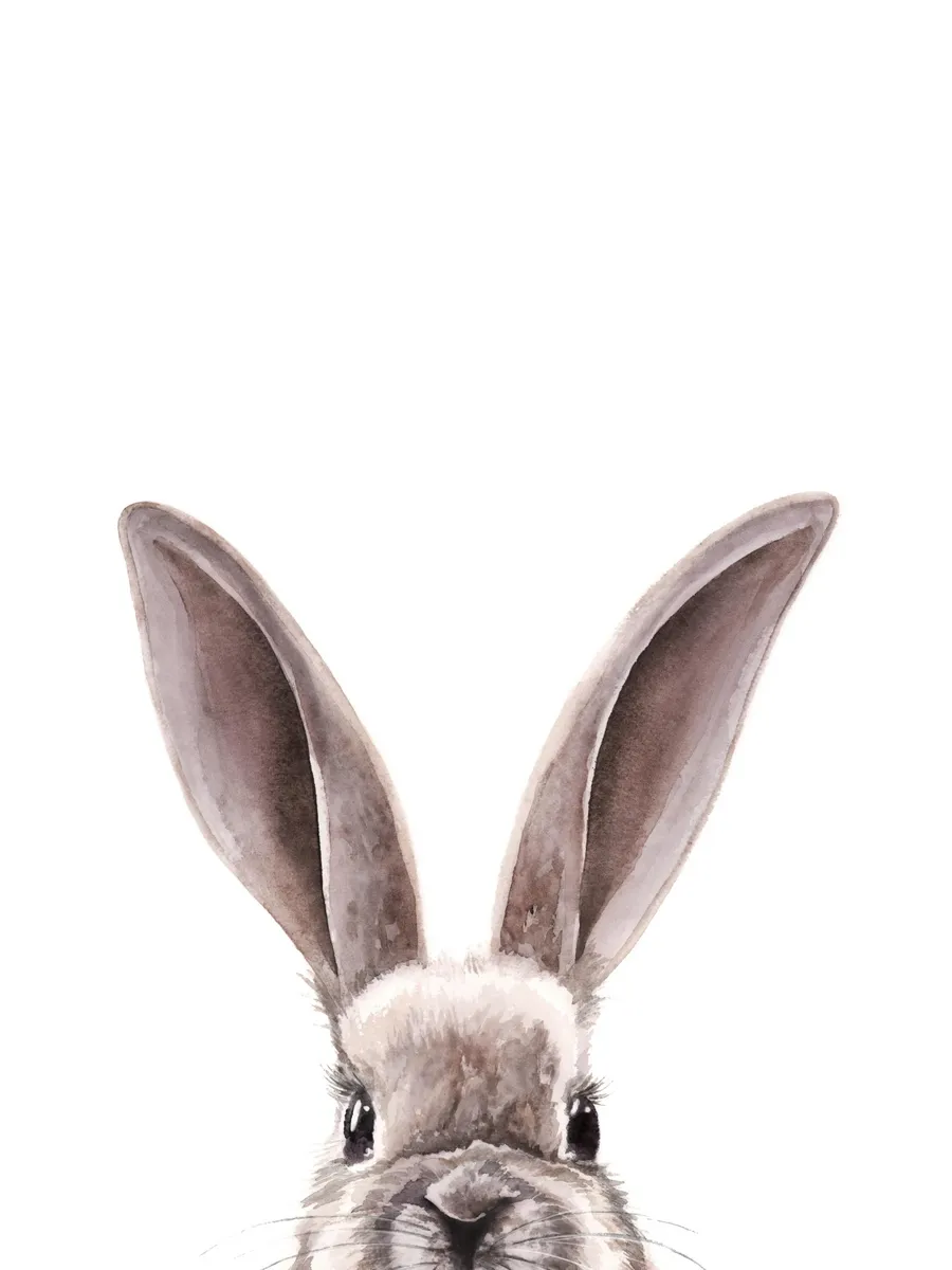 Watercolor Bunny
