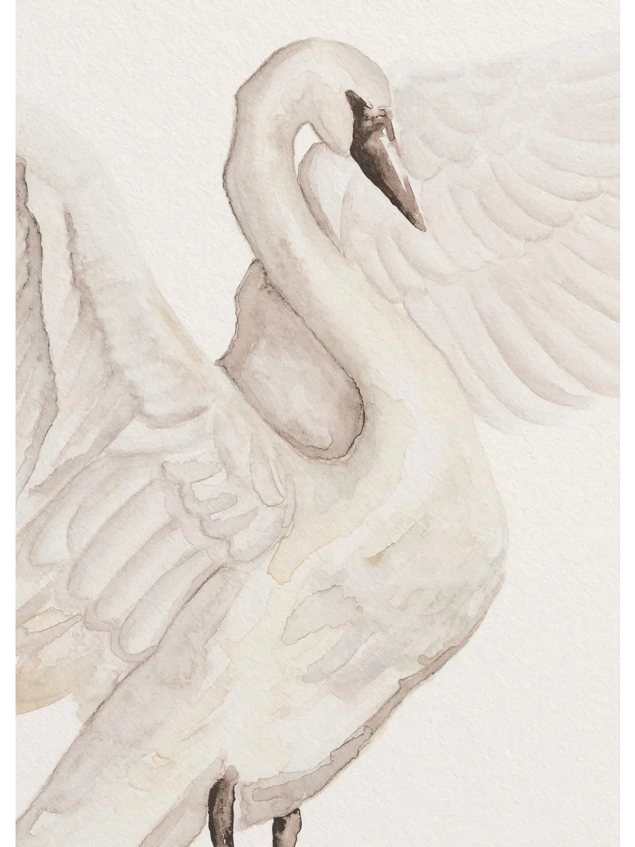 Watercolor Swan