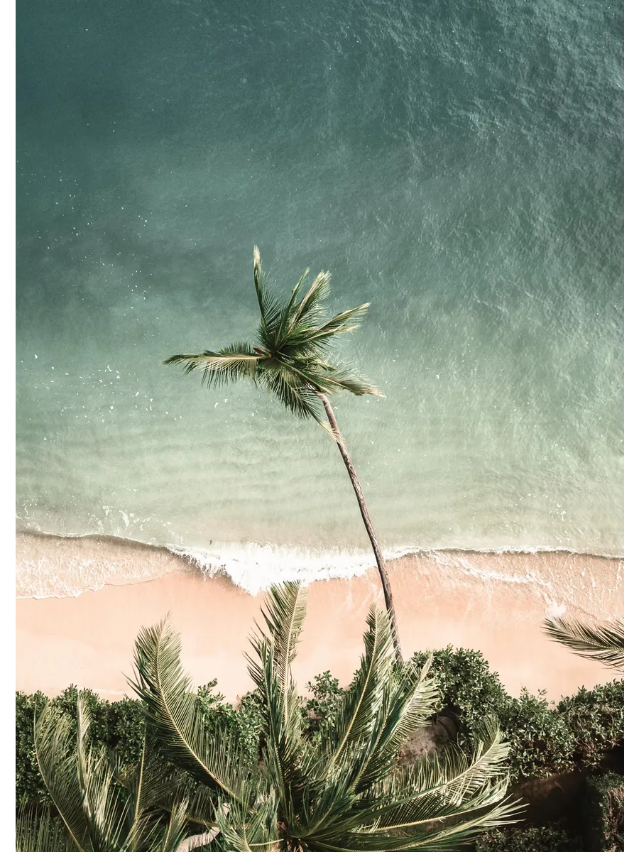 Waves of Time