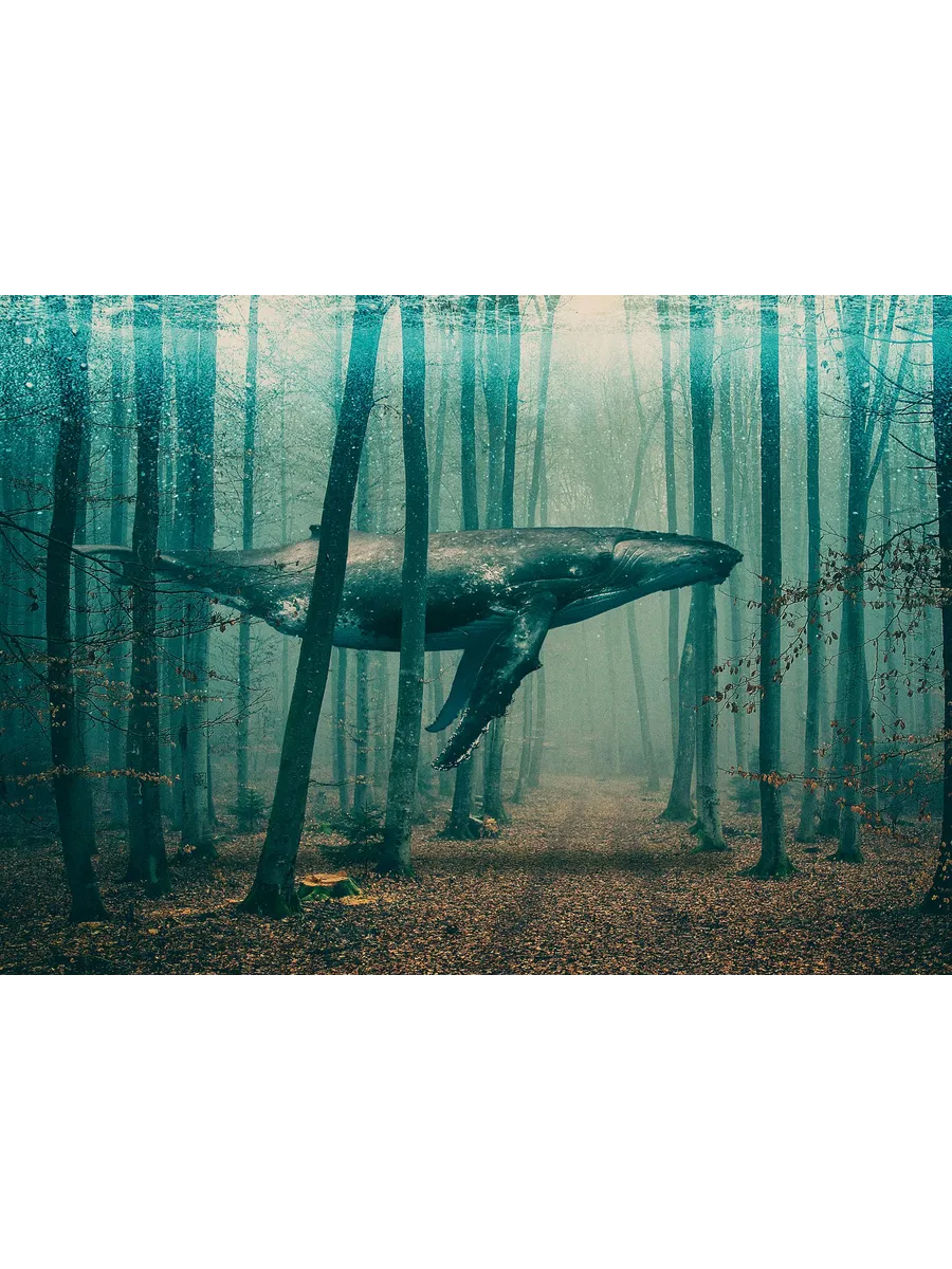 Whale in Forest