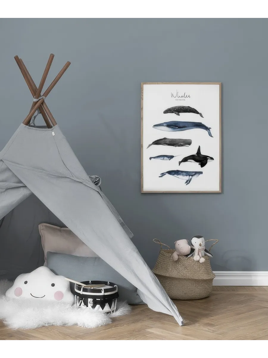 Whales