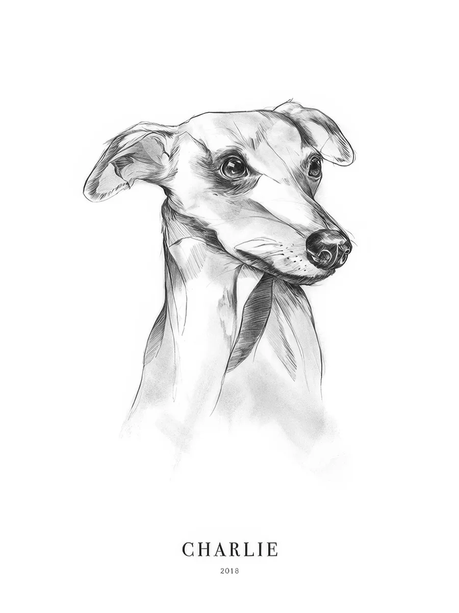 Whippet Dog Personal