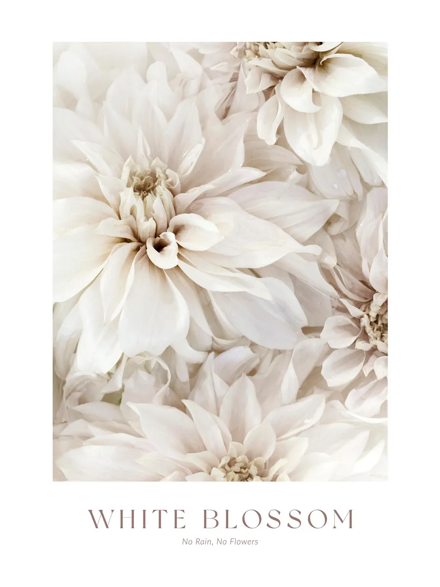 White Blossom No2
