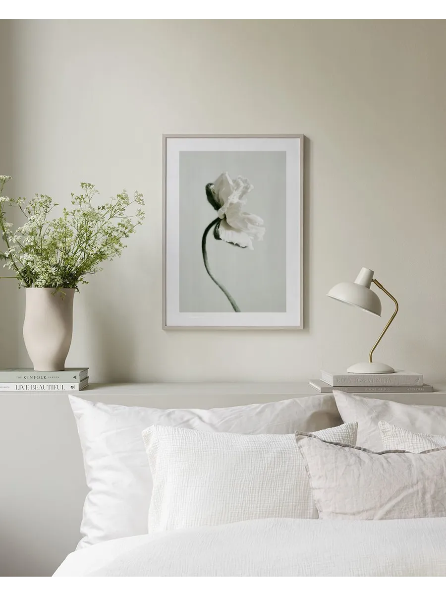 White Poppy Flower 0