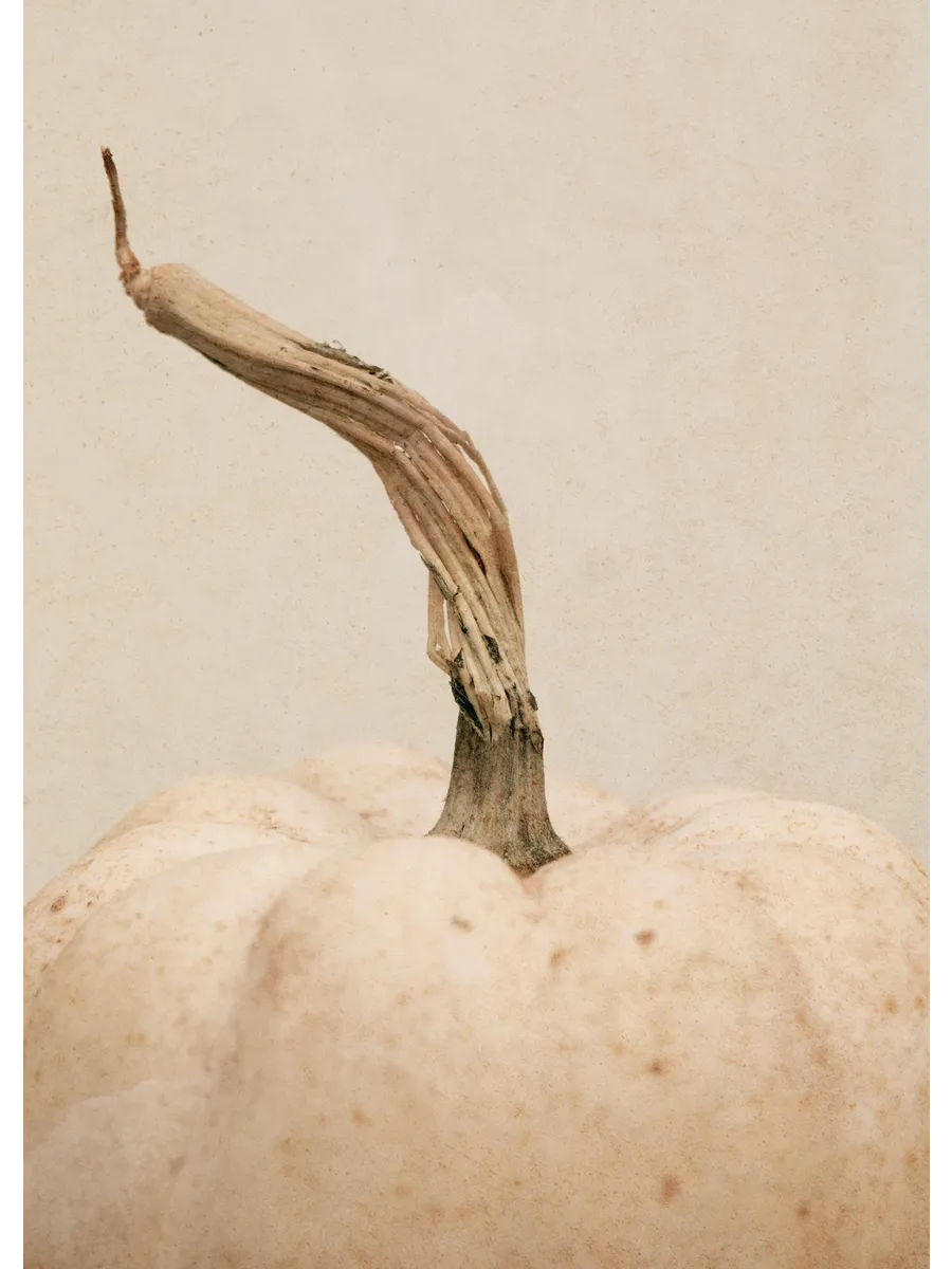 White Pumpkin