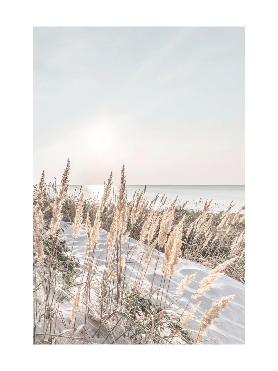 White Sand Coast