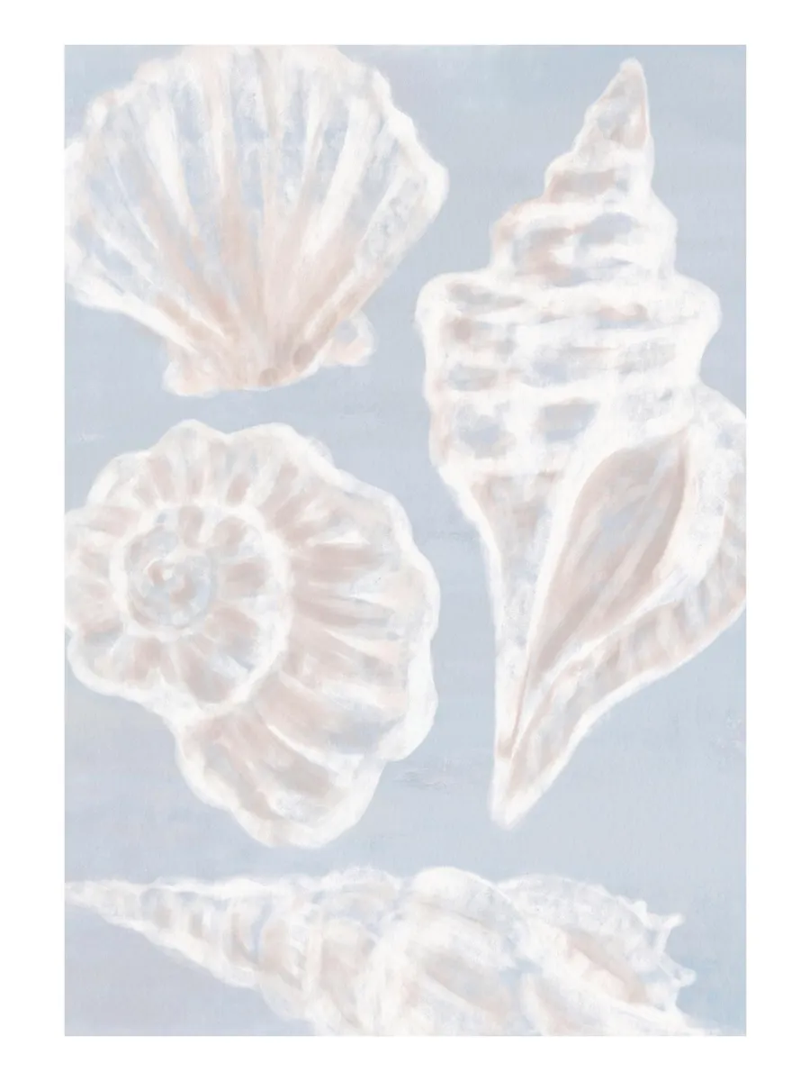 White Shells